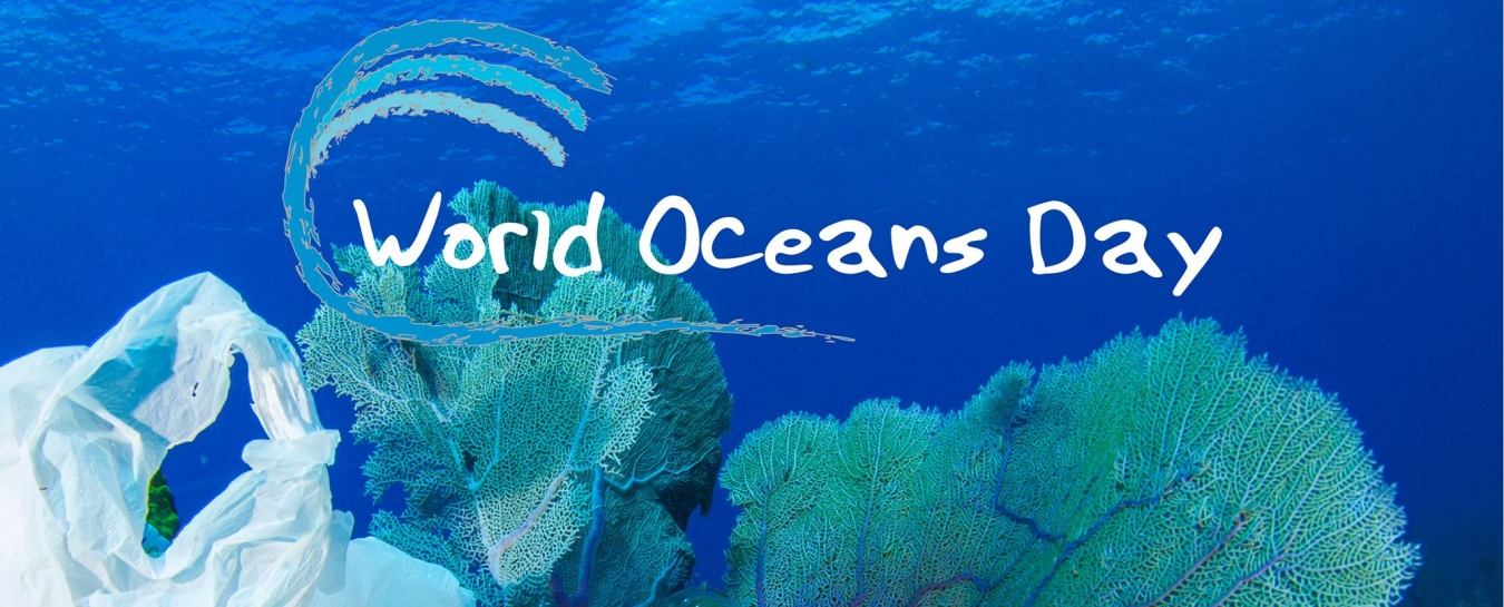 Happy World Oceans Day 2019
